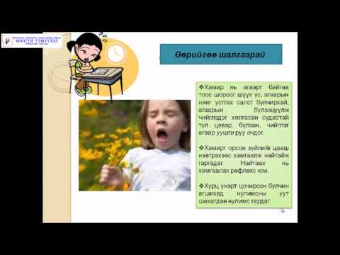 Видео: Монгол Тэмүүлэл сургууль, Биологи Хүний амьсгалын эрхтний тогтолцоо