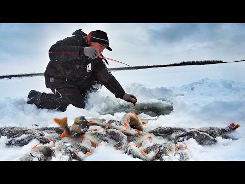 Видео: ДА СКОЛЬКО ЖЕ ЕГО ЗДЕСЬ!!!?😱ВЫРЫВАЮТ ИЗ РУК и НЕ ДАЮТ ОПУСТИТЬ! ПЕРВЫЙ ЛЁД 2021-22!