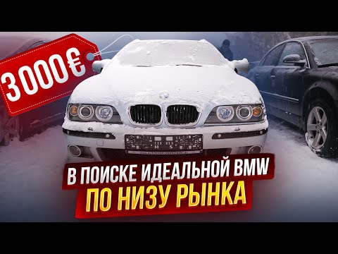 Видео: ВПЕРВЫЕ! Ищем BMW для подписчиков
