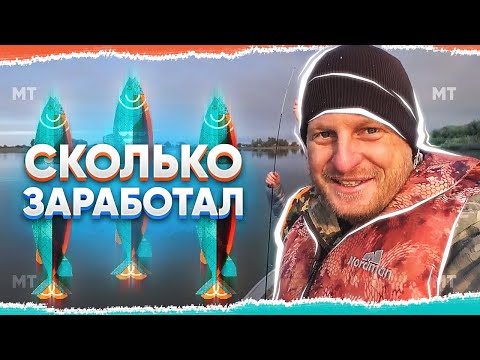 Видео: Сколько зарабатывают на YouTube — Доход Always Alone (Всегда в одиночку)