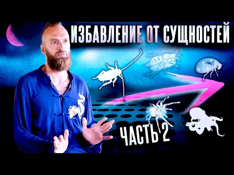 Видео: Астральные сущности #2: Как распознать и избавиться? Может ли быть заражен просветленный?