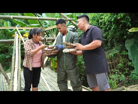 Видео: Мать-одиночка - дизайн бамбуковой хижины, гараж, удивление от вида дикого улья.