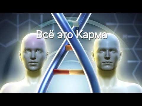 Видео: пол человека , это карма . кто кем ...