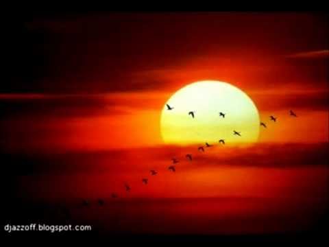 Видео: Журавли Геннадий Рагулин и "Архив ресторанной музыки"