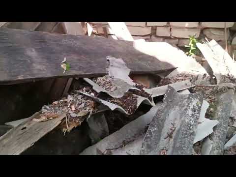 Видео: Экстремальный метод добычи железа