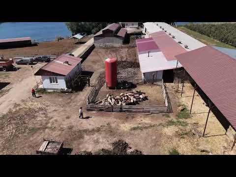 Видео: Айыл Деми /  Кабак айылы