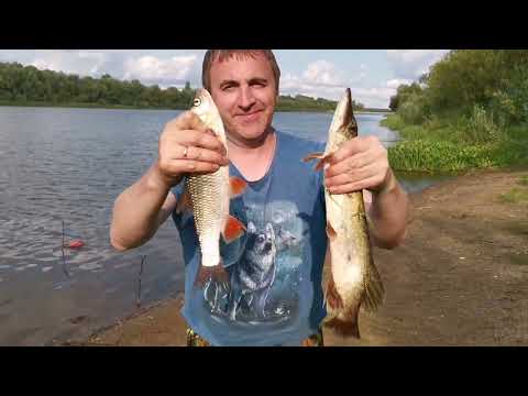 Видео: Рыбалка на Вятке в районе Истобенска с корешом Антоном и Сашей 18 августа 2024 г.