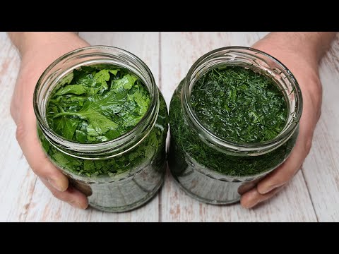 Видео: Свежая ЗЕЛЕНЬ в любое время года. Укроп и Петрушка. Рецепт всегда свежей и ароматной зелени