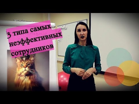 Видео: 3 типа неэффективных сотрудников, которые мешают общей работе