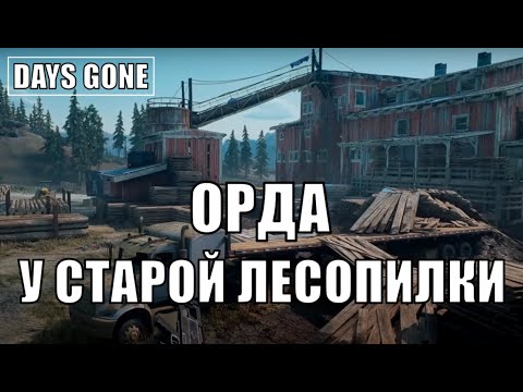 Видео: DAYS GONE  (Жизнь после) — Уничтожения Орды у Старой Лесопилки