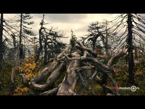 Видео: Куляжева Инесса, "Воттоваара", г.Казань