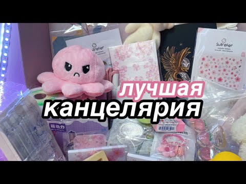 Видео: КАНЦЕЛЯРИЯ КОТОРАЯ ВАМ НУЖНА