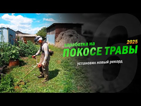 Видео: Установил новый рекорд. Заработок в деревне на покосе травы триммером.