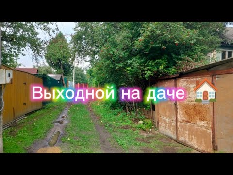 Видео: Выходной на даче)🏡