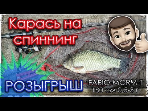 Видео: Карась на спиннинг. Розыгрыш FARIO-MORM-T.