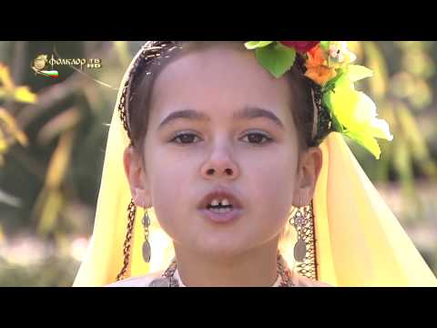 Видео: Божидара Сергеева - Чичовите коне