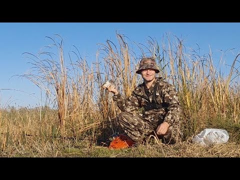 Видео: Рыбалка на поплавок. Карась в ноябре. Неожиданный Клёв Карася в Ноябре!