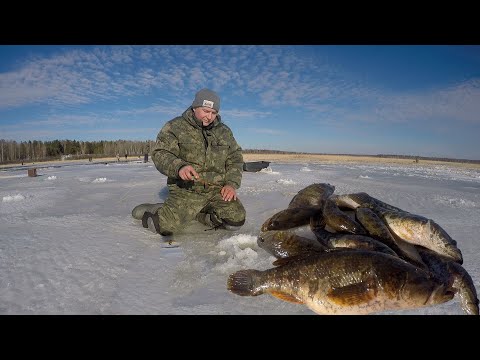 Видео: ПЕРВЫЙ ЛЁД! Время РОТАНА.  Зимняя Рыбалка