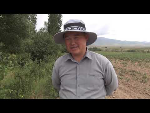 Видео: чарбакер И ЖЭЭНТАЕВ