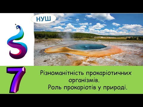 Видео: Різноманітність прокаріотичних організмів. Роль прокаріотів у природі.