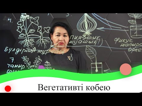 Видео: Вегетативті көбею. 1 бөлім. 7 сынып.