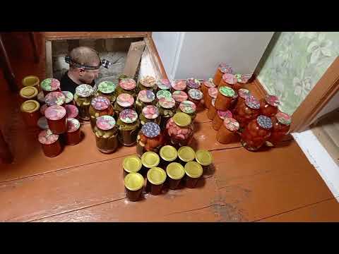 Видео: Переехали на Юг/Будка готова.