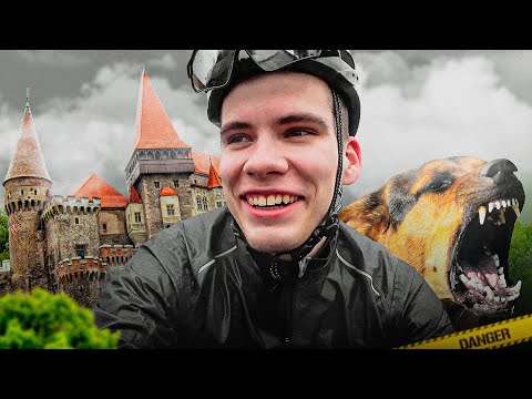 Видео: НЕОЖИДАННАЯ ОПАСНОСТЬ! Как спастись от дикой собаки?