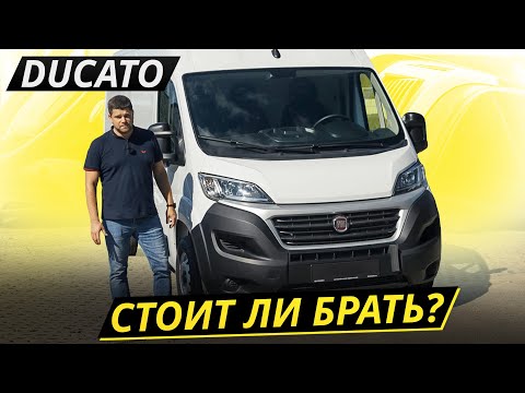 Видео: "Идеален!" — думали итальянцы. "Не совсем..." — сказали мы. Fiat Ducato 3 | Подержанные автомобили