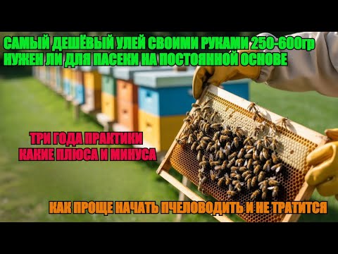 Видео: Самый ДЕШЁВЫЙ УЛЕЙ ДЛЯ ПАСЕКИ за 250-600 гр из ППС нужен ли ДЛЯ ПОСТОЯЙННОЙ ОСНОВЫ ПРАКТИКА 3 г ✅☝️🐝