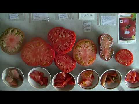 Видео: Дегустация помидоров 2025 № 40