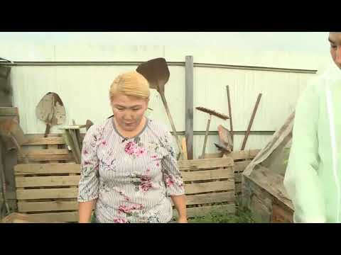 Видео: Тиэргэн (10.08.2020)