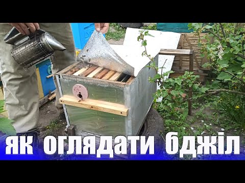 Видео: Основні правила огляду бджіл бджоляреві початківцю
