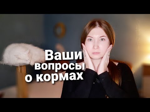 Видео: Вопросы про питание/корма для кошек