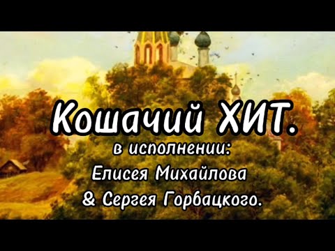 Видео: КОШАЧИЙ ХИТ🐱