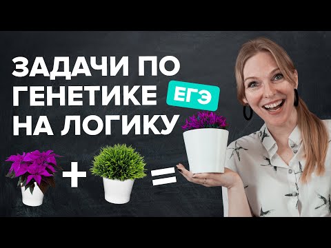 Видео: Задачи из №4 в ЕГЭ по генетике 2022 😉 Генетика ЕГЭ 2022 | Биология TutorOnline