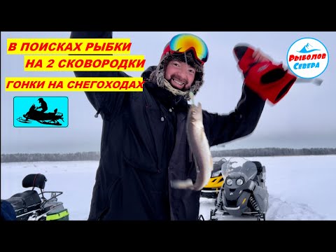 Видео: ✅ РЫБАЛКА НА КОРЮХА🎣 l ГОНКИ НА СНЕГОХОДАХ l СУХОЕ МОРЕ #brp #skidoo #seafishing