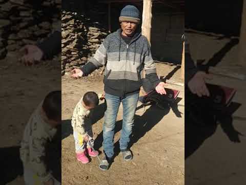 Видео: тоголок молдо 78 баш кой уурдалганы