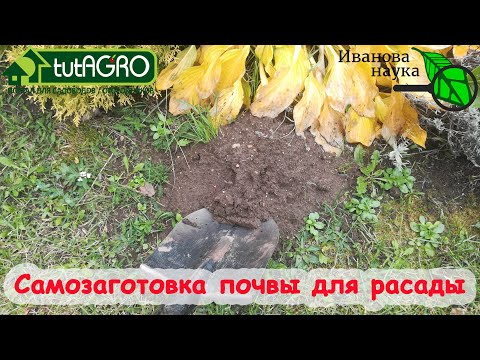 Видео: РАССАДА БЕЗ ПОДКОРМОК? Заготовьте землю САМИ без ЛИШНИХ ЗАТРАТ. Очень просто и очень эффективно.