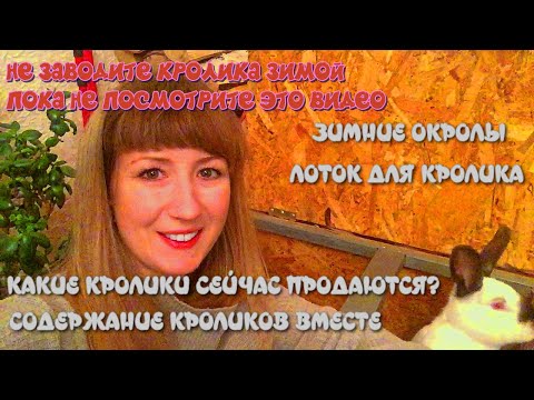 Видео: Содержание кроликов зимой, зимние окролы. Можно ли держать вместе крольчих? Продажи кроликов.