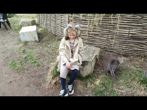 Видео: Казанское царство.День третий.Часть первая.