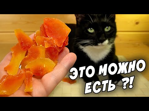 Видео: Сладости из ФиксПрайс Необычные Внусняшки FixPrice