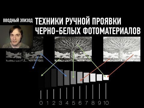 Видео: Техники ручной проявки черно-белых фотоматериалов. Вводный эпизод. Дмитрий Скобелев