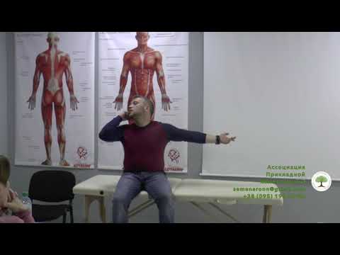 Видео: Причины головных болей. Основные методики работы. Дмитрий Кущик. Прикладная кинезиология. Остеопатия