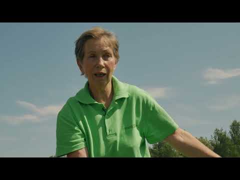 Видео: Огурцы в открытом грунте - секреты выращивания