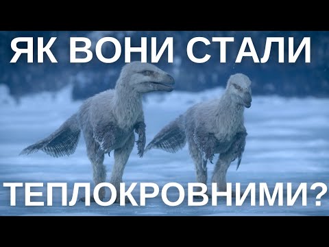 Видео: 10 НОВИХ І ВАЖЛИВИХ ДОСЛІДЖЕНЬ ДИНОЗАВРІВ: БУДОВА ЯЄЦЬ, ЧОМУ КОРОТКІ РУКИ ТА ТЕПЛОКРОВНІСТЬ