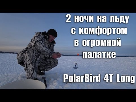 Видео: Рыбалка с ночевкой. 2 ночи зимой в палатке. Налим на жерлицы