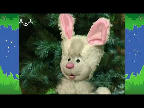 Видео: Вечер в Шишкином Лесу. Новая сказка о зайчике