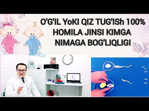 Видео: ЎҒИЛ ЁКИ ҚИЗ ТУҒИШ 100% ҲОМИЛА ЖИНСИ КИМГА НИМАГА БОҒЛИҚЛИГИ ХАҚИДА ФАКТЛАР БИЛАН ХАҚИҚАТЛАР