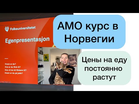 Видео: AMO курс норвежского, цены в Норвегии на еду растут постоянно.