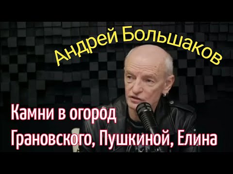 Видео: Андрей Большаков кинул камни в огород Грановского, Пушкиной, Елина